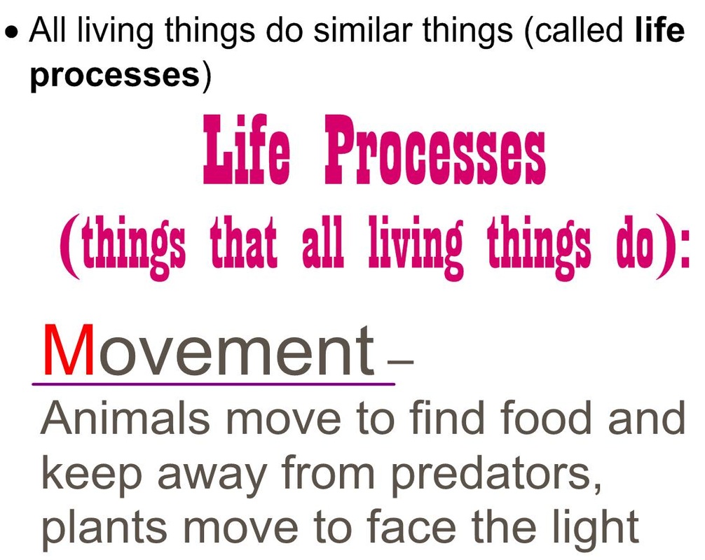 Characteristics Of Living Things Rumney Marsh Academy Science Revere